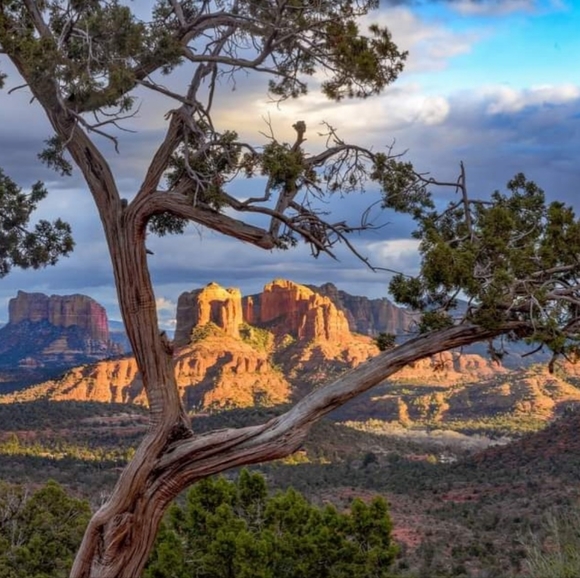 Meet your Posher, Lynnette - Picture 3 of 16